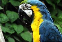 Discover Wildlife at Izmir Zoo: Animals, Exhibits & Tips