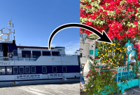 Bodrum to Kos Ferry: Schedule, Tickets & Travel Tips