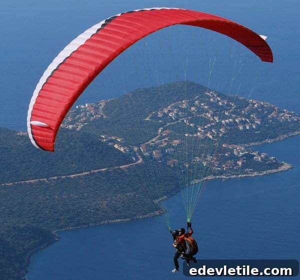 featured 2595
