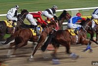 Horse Racing in Turkey: How to Stand Out Like a Local