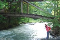 Discover Efeler Valley: A Stunning Guide to Its Scenic Beauty