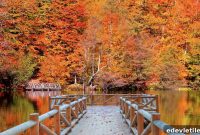 Turkey in Autumn: 15+ Cozy Destinations, Weather & Seasonal Tips