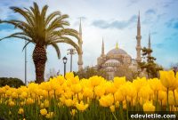 Spring Travel in Turkey: Top 12 Places, Weather Guide & Local Tips
