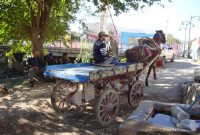 Söke: Aegean Coast Town Guide for Travelers and Expats