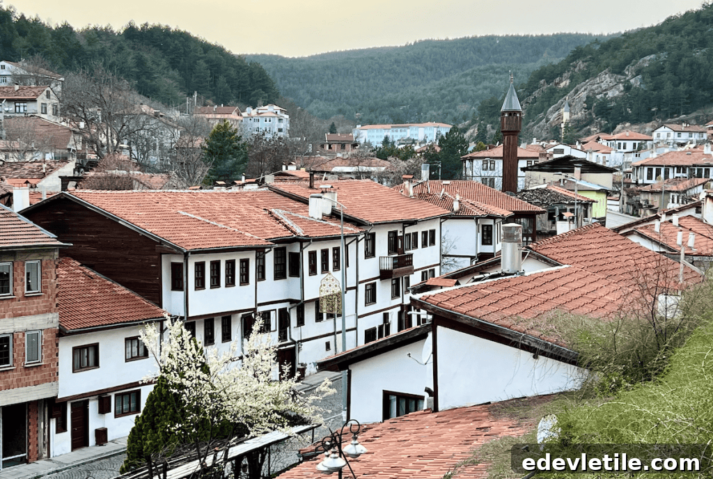 Traditional Ottoman-style houses with red-tiled roofs in Kastamonu’s old town, surrounded by forested hills.