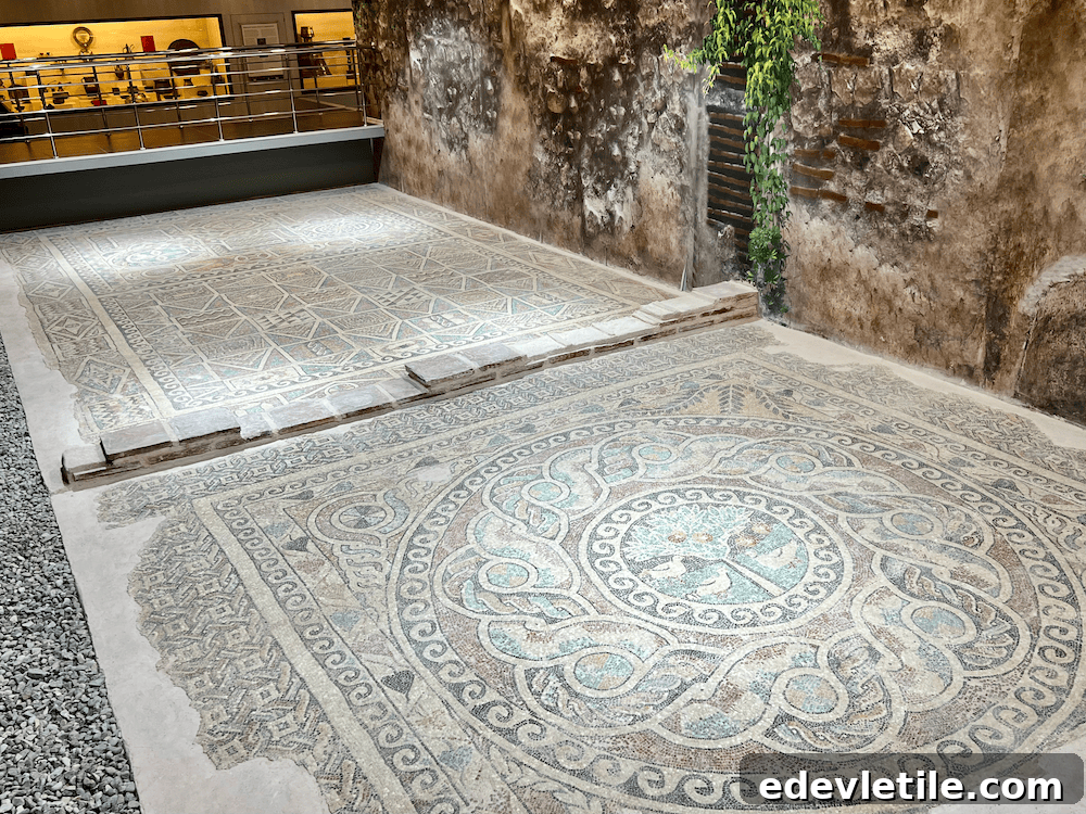 Intricate Roman-era floor mosaics with geometric and floral designs on display in the Amasya Archaeology Museum.
