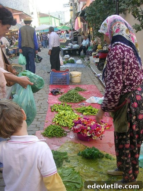 Tuesday Market