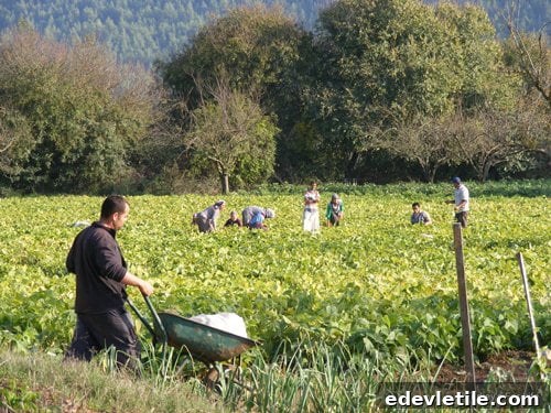 kayakoy