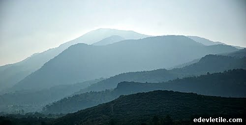 turkey