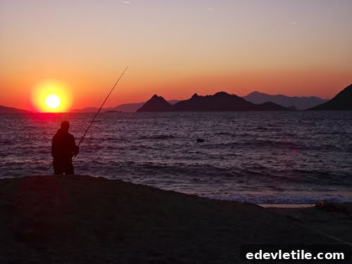 Turgutreis