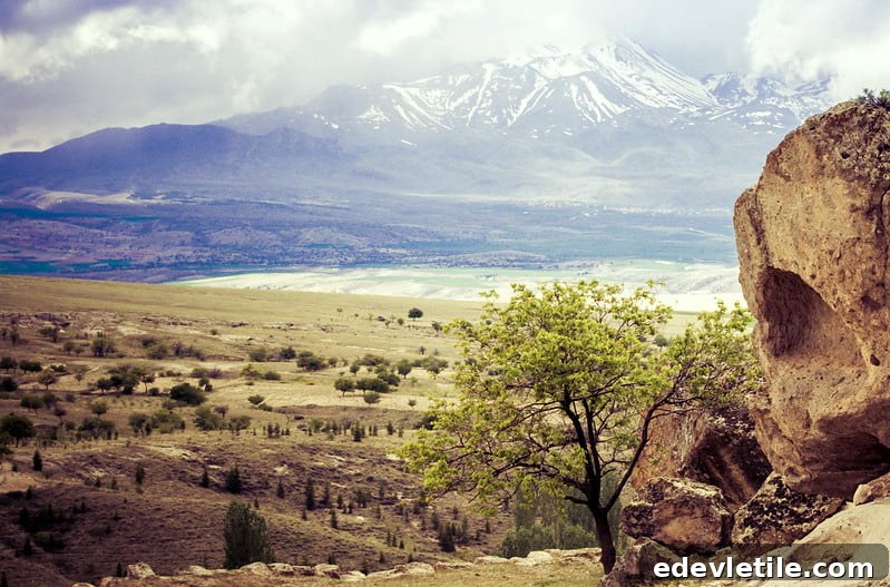 mount hassan