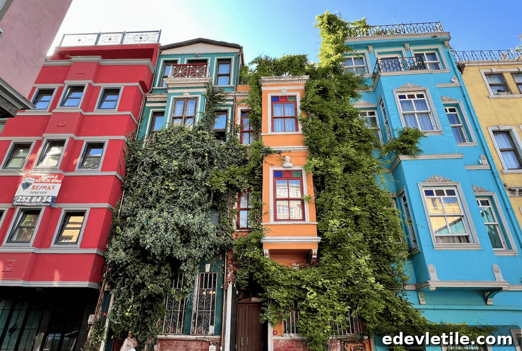 Colorful buildings in Istanbul’s Balat neighborhood, with bright red, orange, turquoise, and yellow facades, and thick greenery climbing the walls.