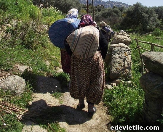 Herakleia
