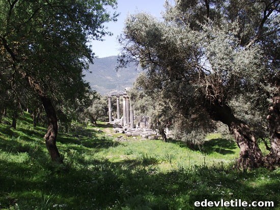 Euromos Ruins in Milas, Turkey