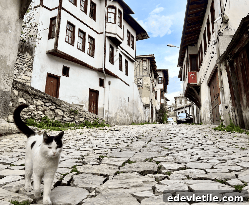 Black and white cat strolling on an old stone street lined with traditional Ottoman houses and a Turkish flag hanging on one of the buildings.