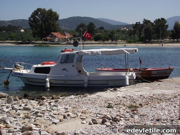 Bozbuk Aydin