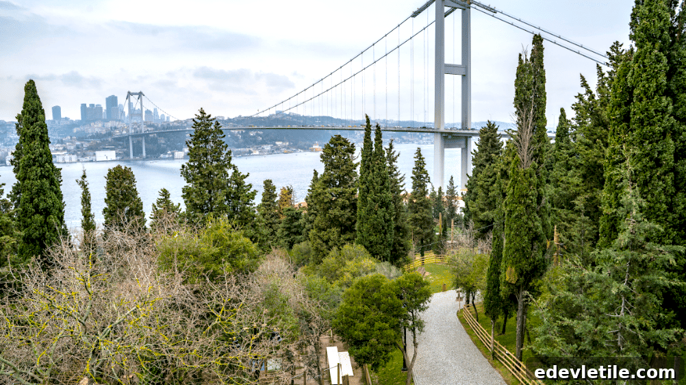 Bosphorus view