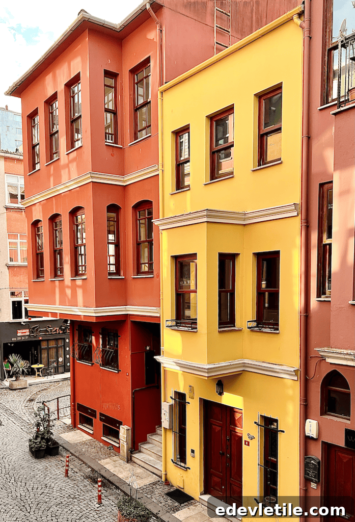 Colorful house 1