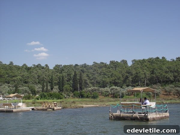 Kazikli Turkey