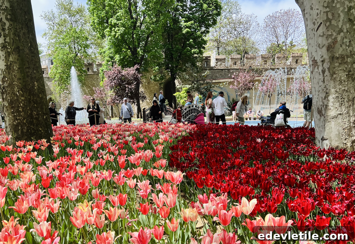 Visitors walking among vibrant red and pink tulip beds with large trees and water fountains in the background at the Tulip Festival in Gülhane Park.