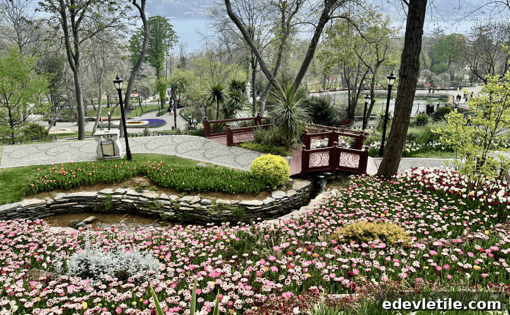 Serene park scene with curving tulip beds, trimmed hedges, and decorative red bridges overlooking the Bosphorus in the background in Emirgan Park.