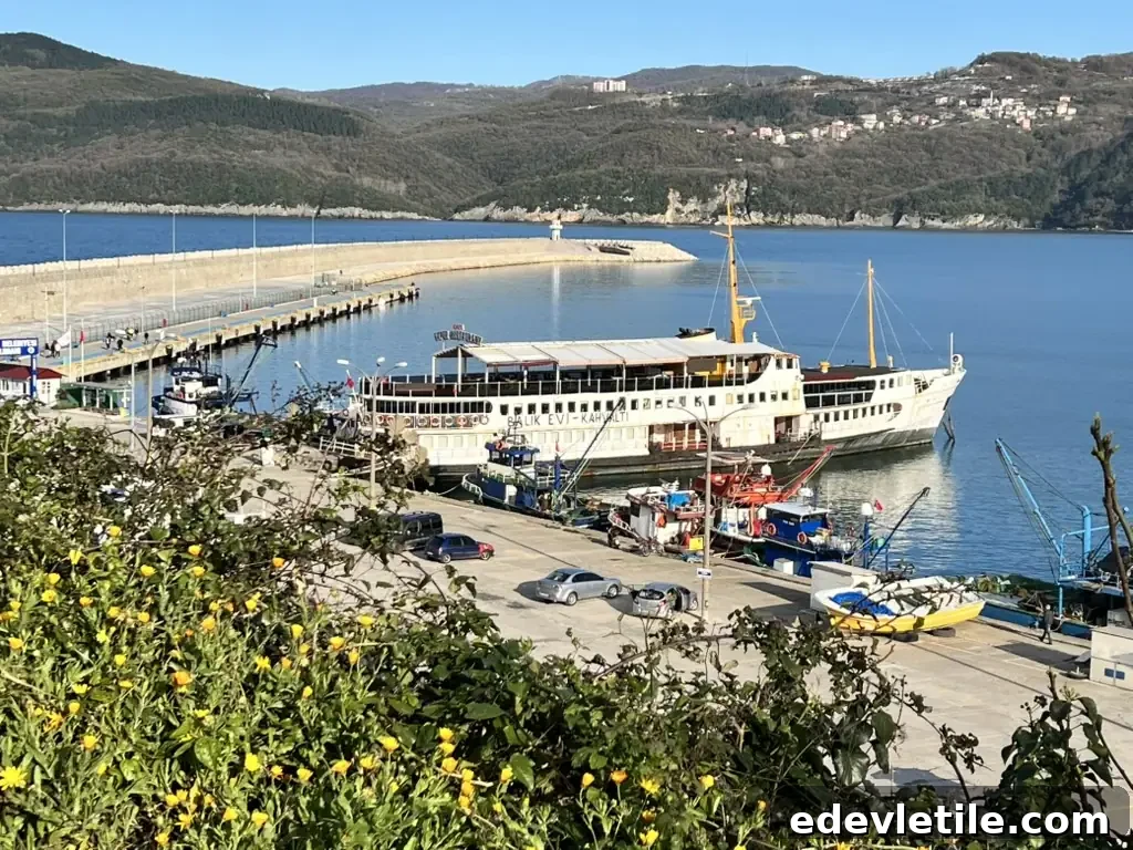Amasra's fishing port with colorful boats and the famous anchored ship-turned-restaurant, with forested hills in the background.