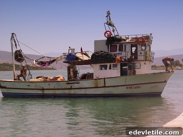 Bogazici fishing boat