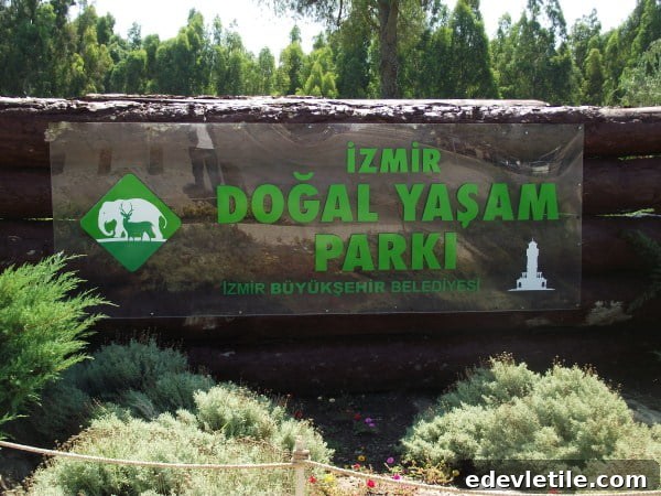 Should animals be kept in zoos