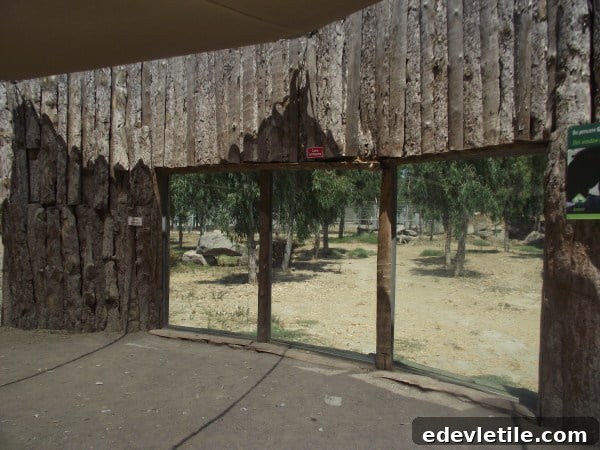 animals at Izmir zoo