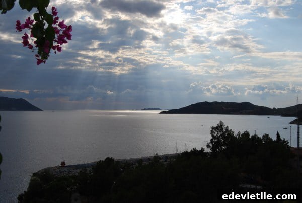 Kas turkey