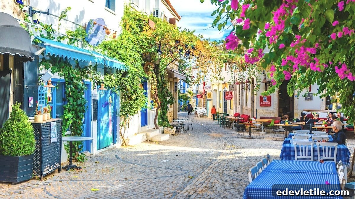 Aegean coast