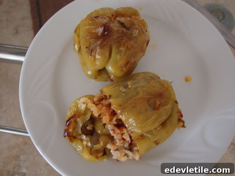 Dolma - Turkish cuisine