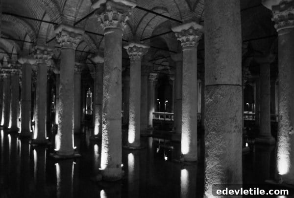 Bascilla Cistern