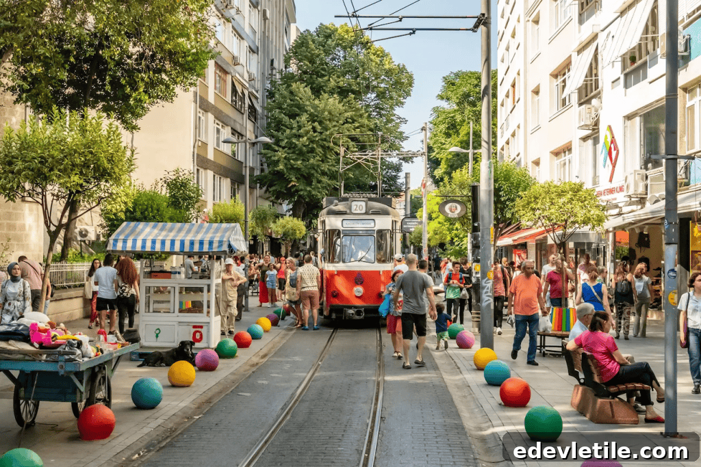img 2679 1