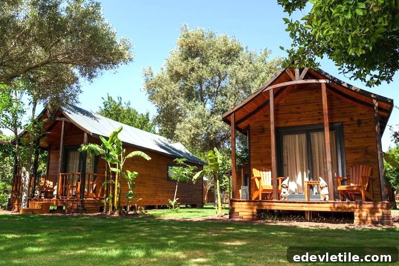 Charming wooden bungalows surrounded by trees and green lawn, offering a nature-inspired stay experience in Bitez.