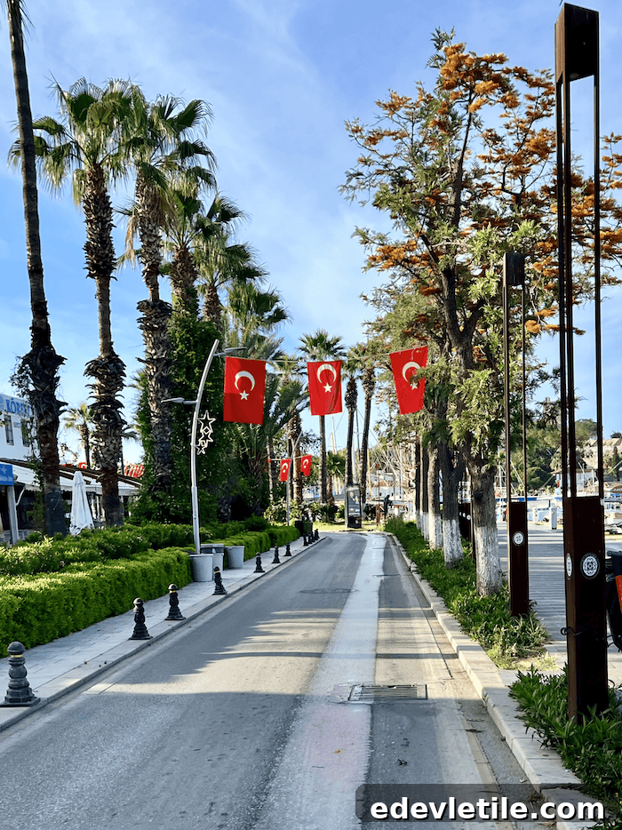 Palm-lined street in central Bodrum decorated with multiple red Turkish flags, leading toward a marina area on a sunny day.