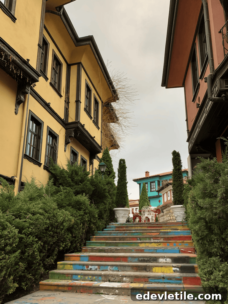 Painted staircase between traditional Turkish buildings in Eskisehir historic district, leading up to a courtyard with colorful homes and evergreen trees.