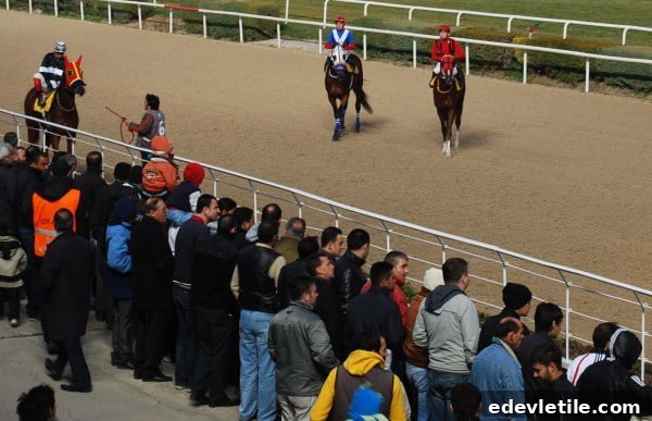 izmir horse races