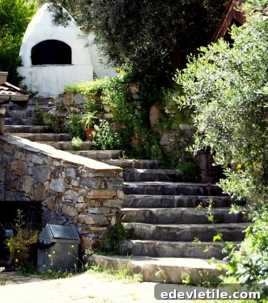 Silva Oliva Restaurant