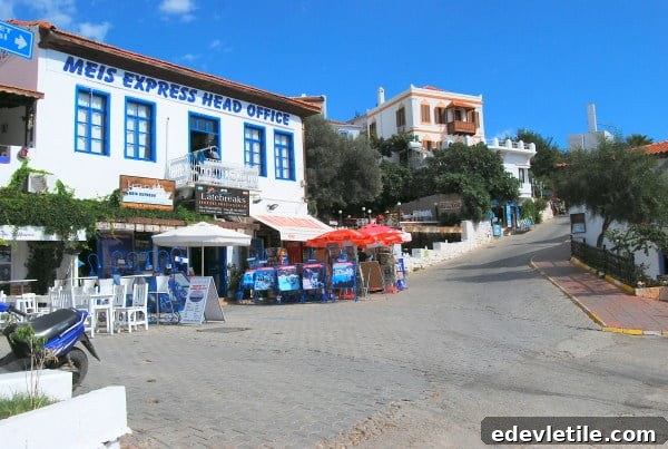 Meis Express Office