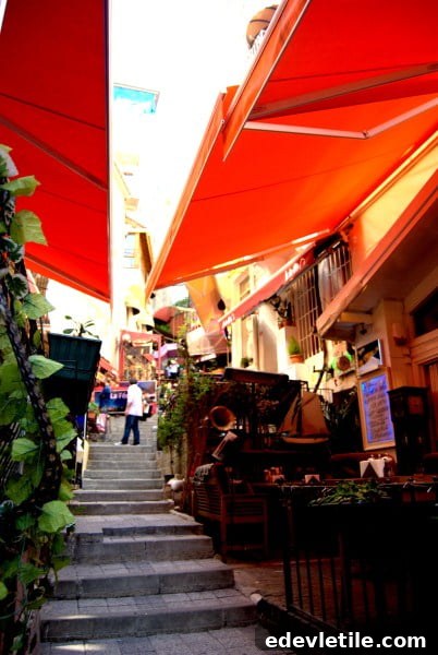 Istanbul French Street