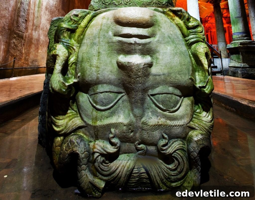 medusa heads