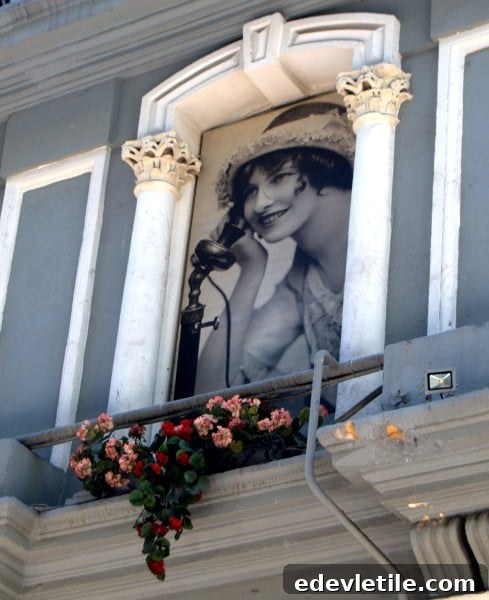 Flower passage Istanbul Turkey