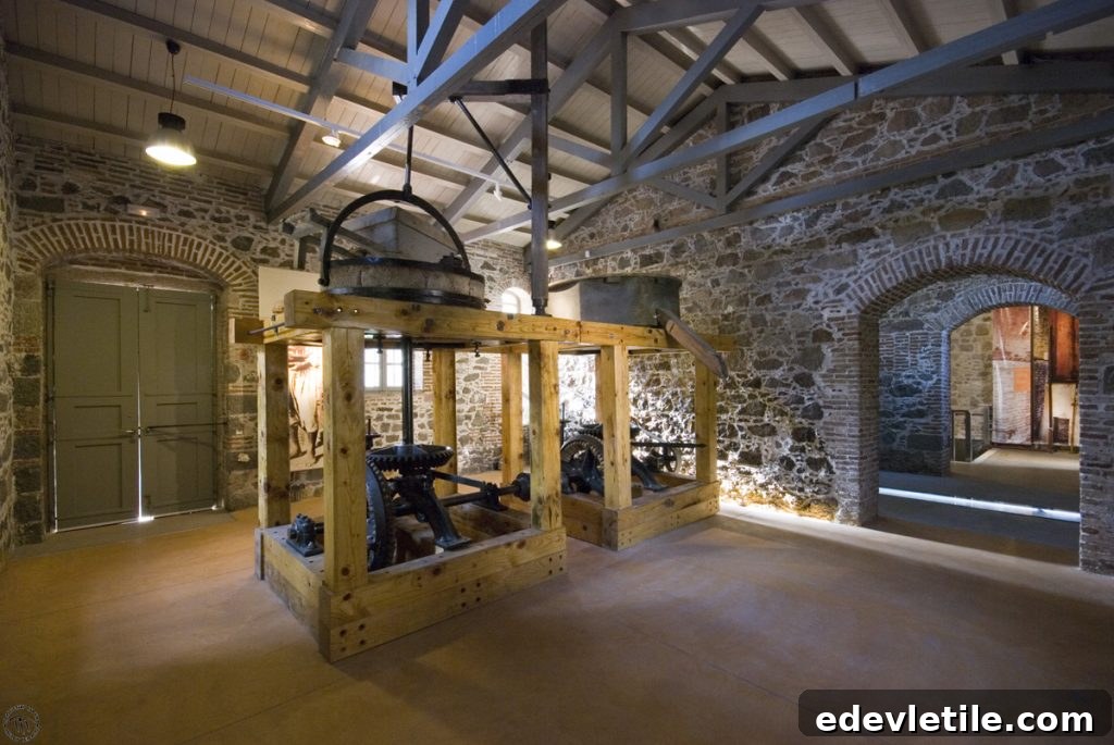 Olive Oil Museum