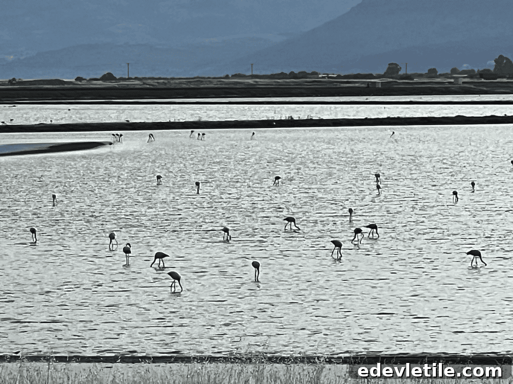 Skala Kallonis salt pans