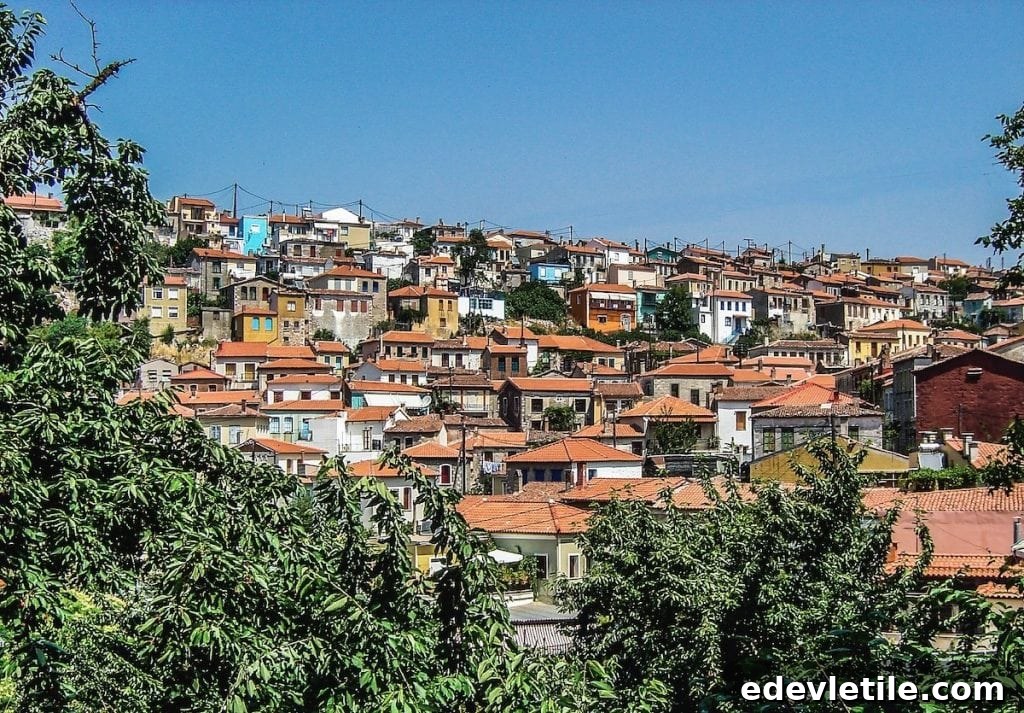Agiasos town