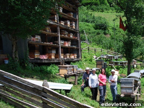 Beekeeping in Macahel