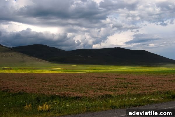 The drive to Kars