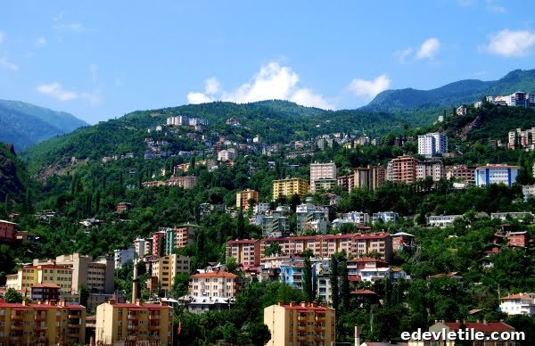 Artvin
