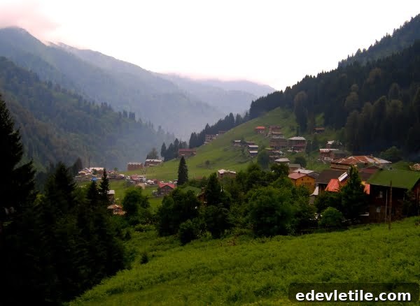 Ayder